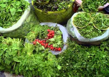 افزایش سطح زیرکشت سبزی و صیفی ارگانیک در نور
